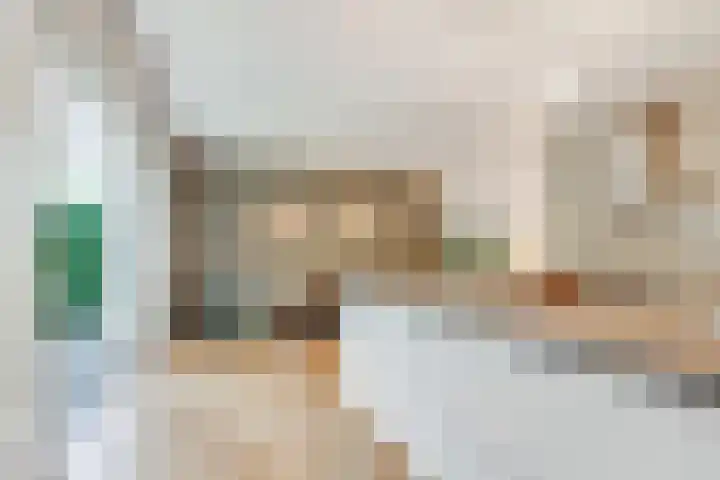 Tolhuislaan 55 Den Dolder thumbnail 16