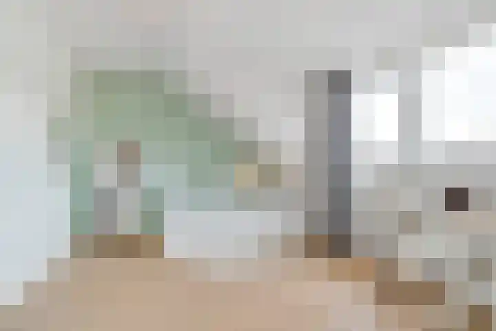Tolhuislaan 55 Den Dolder thumbnail 32
