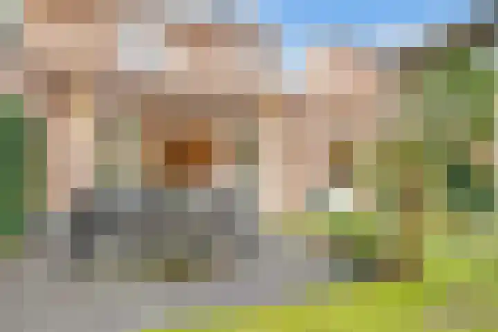 Tolhuislaan 55 Den Dolder thumbnail 38