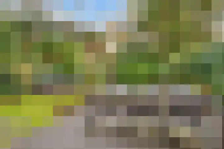 Tolhuislaan 55 Den Dolder thumbnail 40