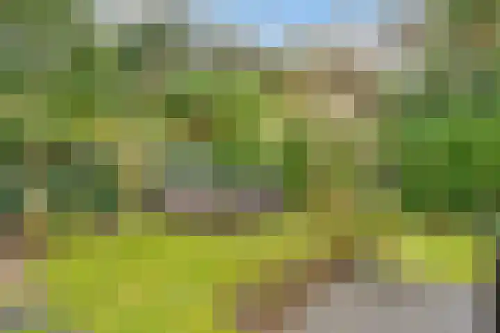 Tolhuislaan 55 Den Dolder thumbnail 42