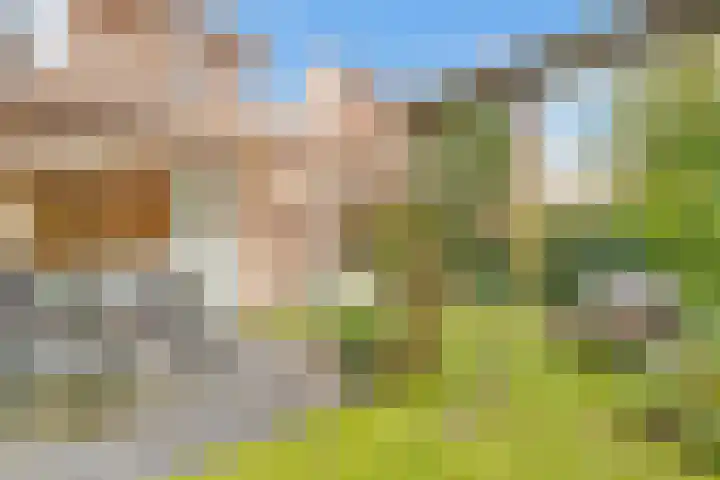 Tolhuislaan 55 Den Dolder thumbnail 43