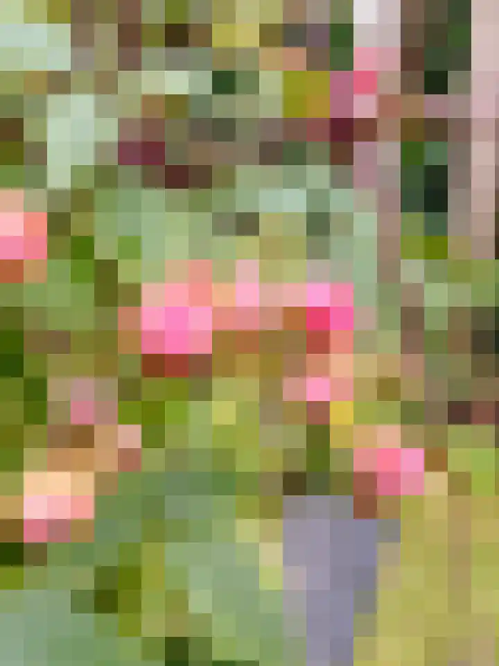 Tolhuislaan 55 Den Dolder thumbnail 44