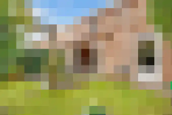 Tolhuislaan 55 Den Dolder thumbnail 45