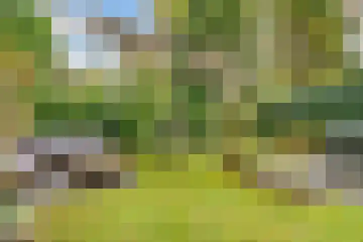 Tolhuislaan 55 Den Dolder thumbnail 46