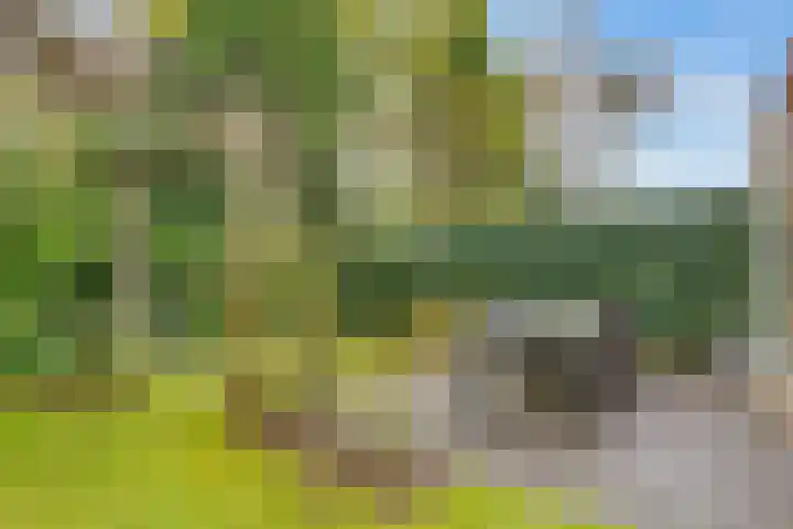 Tolhuislaan 55 Den Dolder thumbnail 47