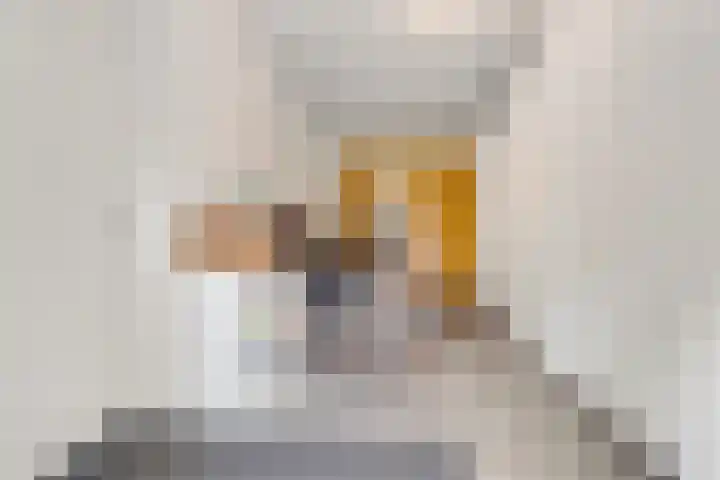 Tolhuislaan 55 Den Dolder thumbnail 48