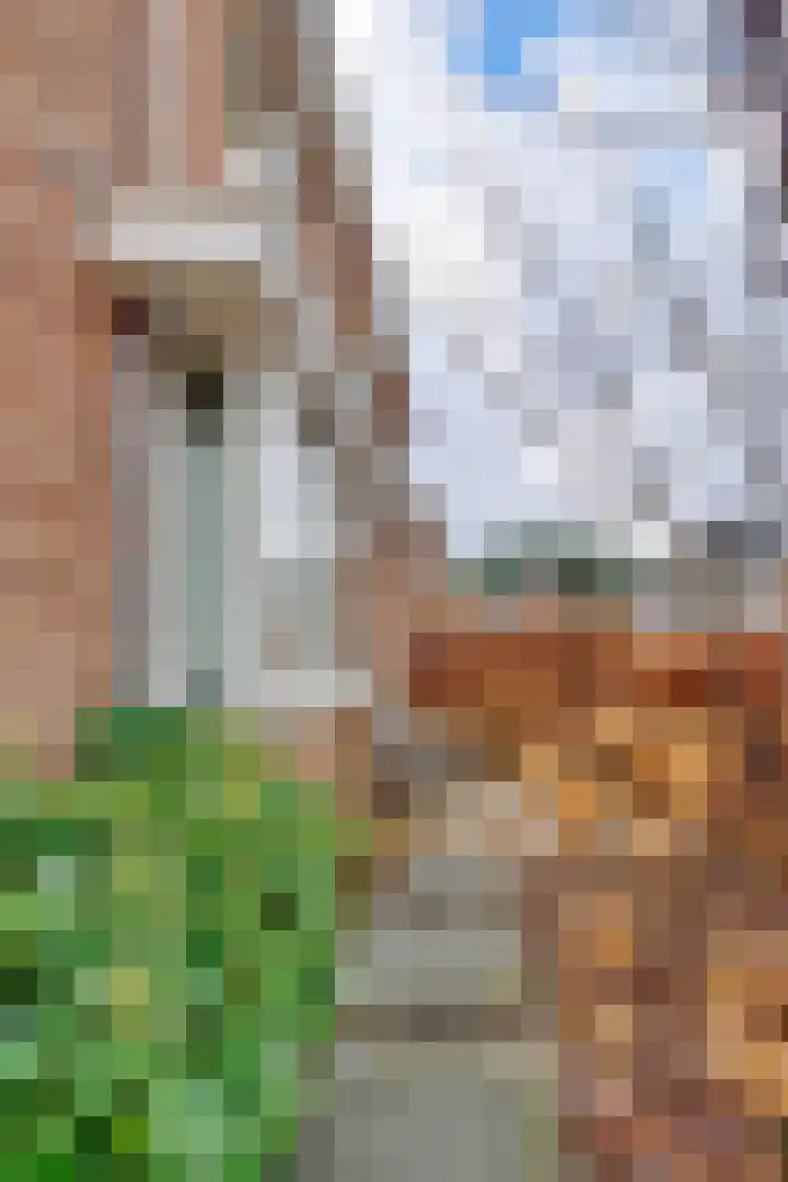 Tolhuislaan 55 Den Dolder thumbnail 49