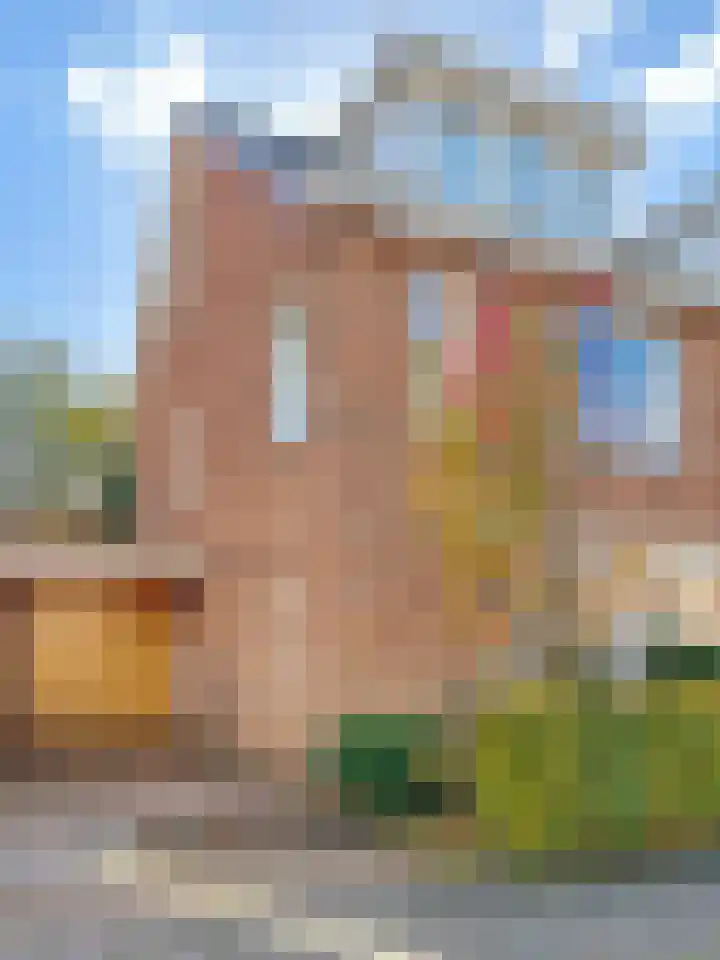 Tolhuislaan 55 Den Dolder thumbnail 50