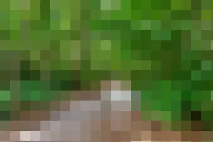 Tolhuislaan 55 Den Dolder thumbnail 52