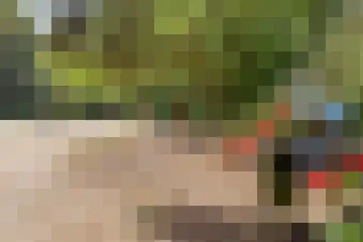 Tolhuislaan 55 Den Dolder thumbnail 53