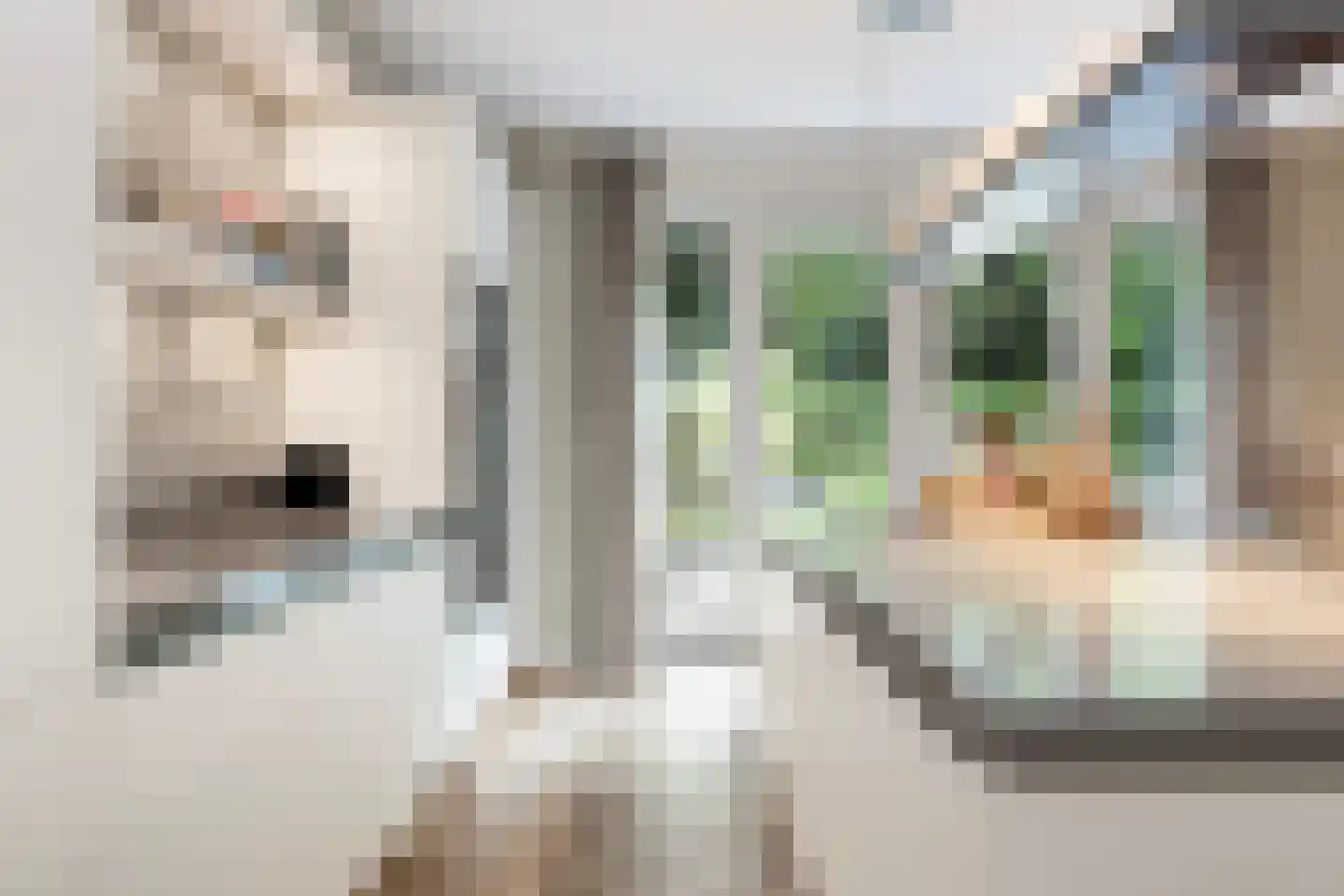Tolhuislaan 57 Den Dolder thumbnail 12