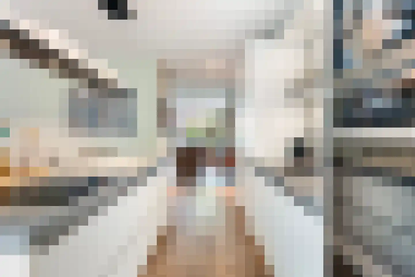 Tolhuislaan 57 Den Dolder thumbnail 16