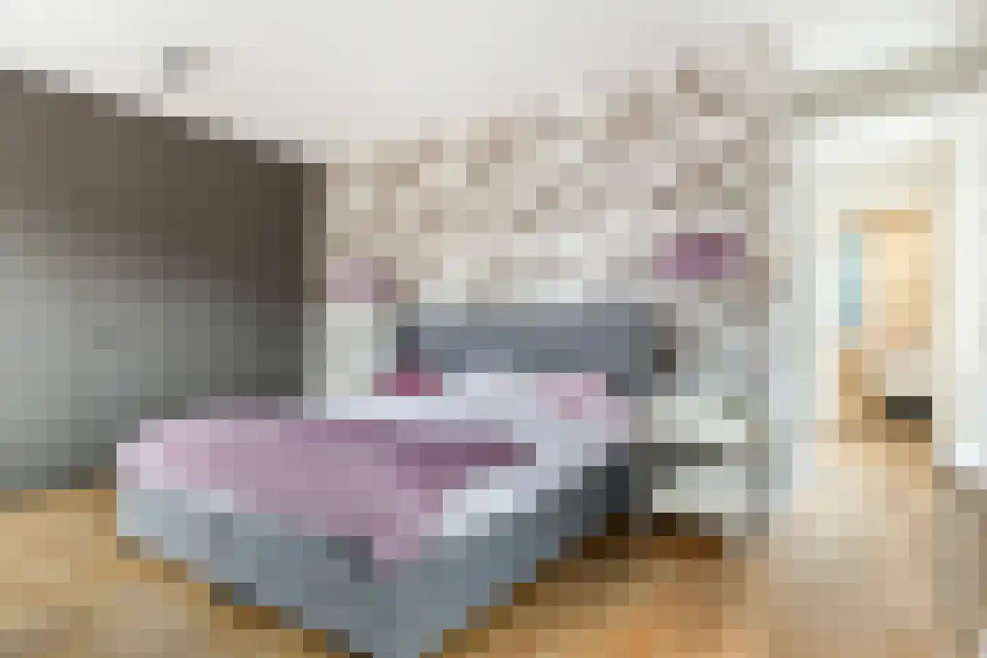 Tolhuislaan 57 Den Dolder thumbnail 25