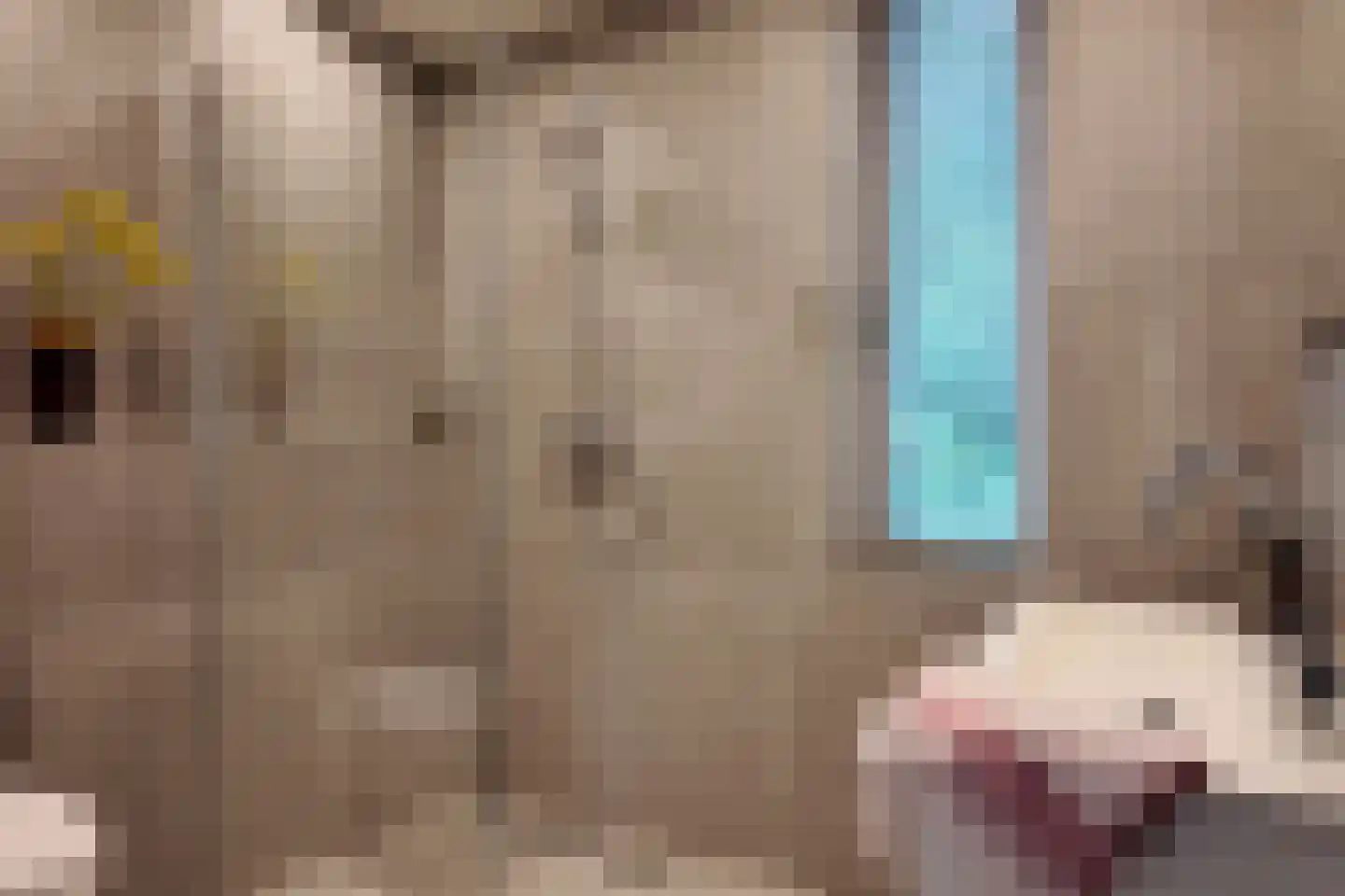 Tolhuislaan 57 Den Dolder thumbnail 28