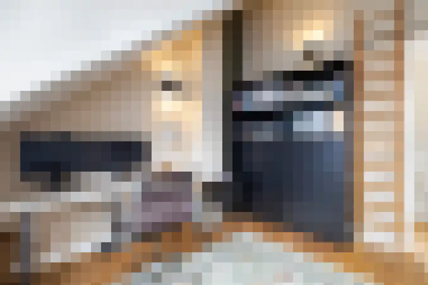 Tolhuislaan 57 Den Dolder thumbnail 31