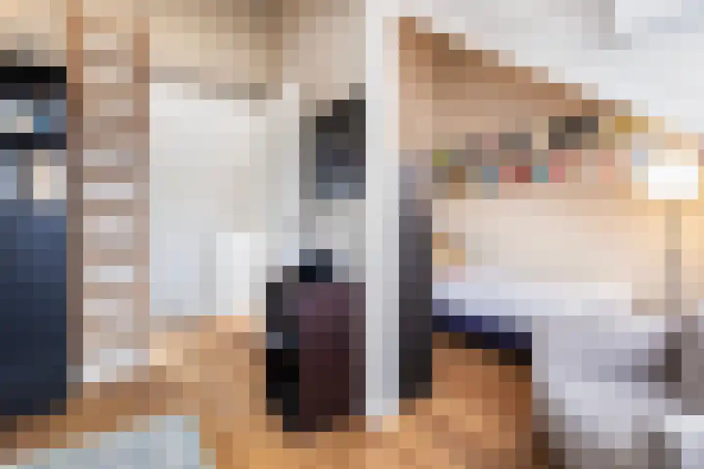 Tolhuislaan 57 Den Dolder thumbnail 32