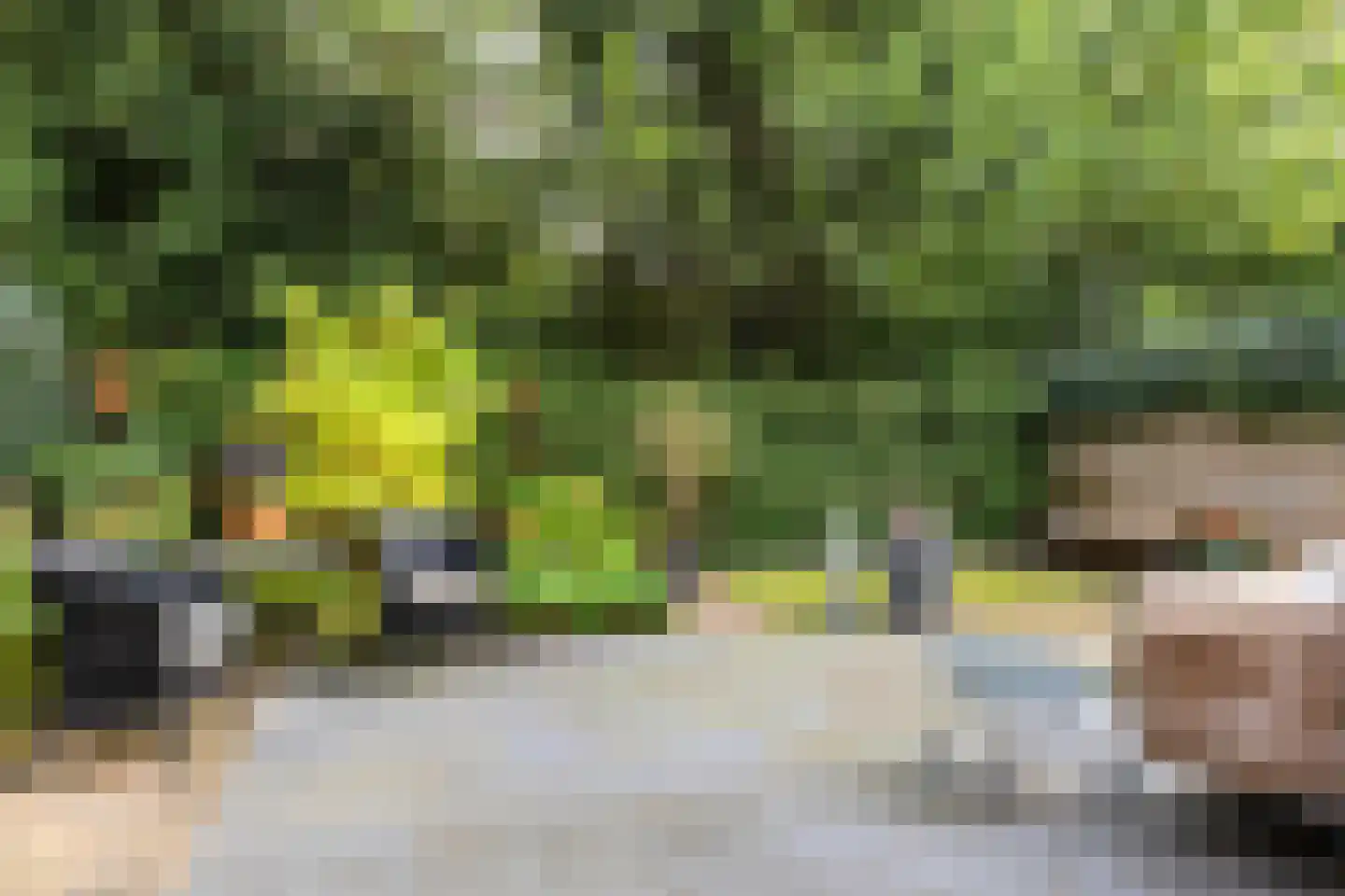 Tolhuislaan 57 Den Dolder thumbnail 39