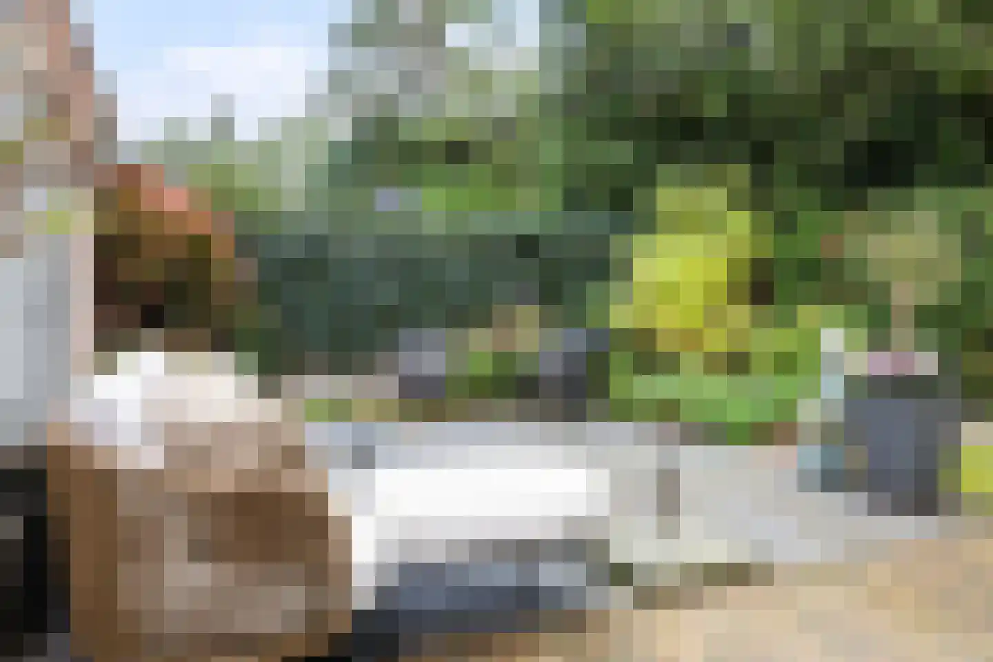 Tolhuislaan 57 Den Dolder thumbnail 40