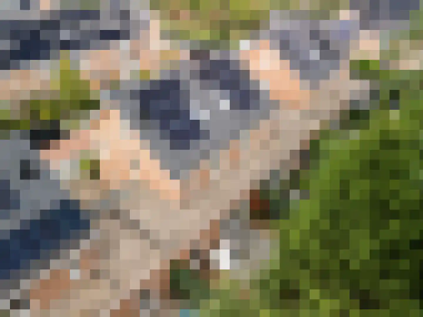 Tolhuislaan 57 Den Dolder thumbnail 41