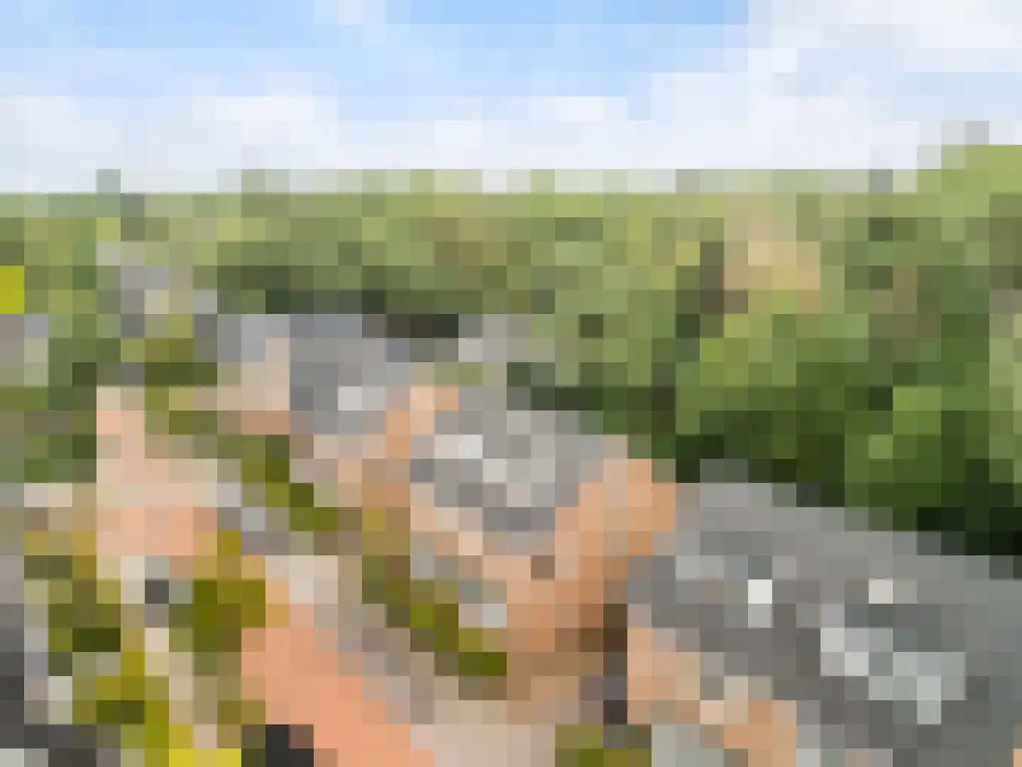 Tolhuislaan 57 Den Dolder thumbnail 46