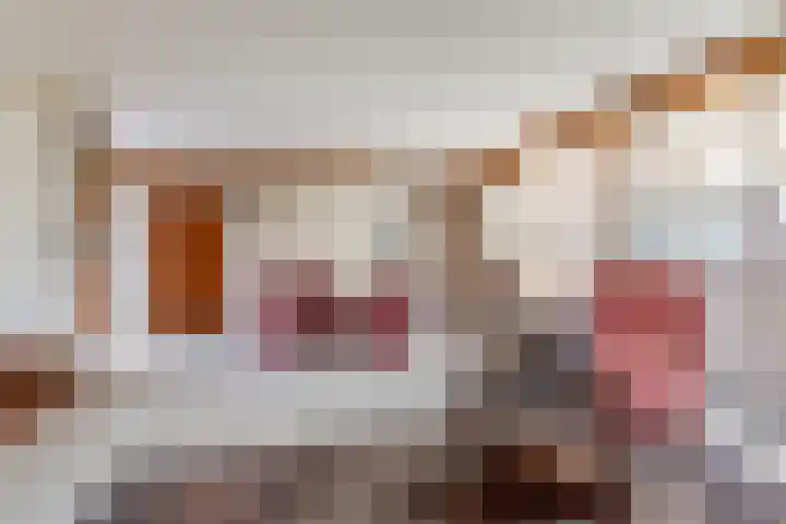 Tolhuislaan 57 Etten-Leur thumbnail 12