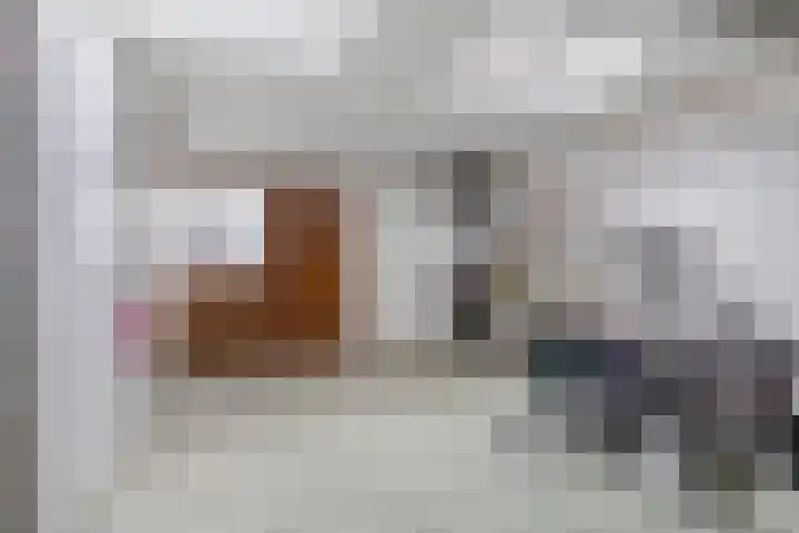 Tolhuislaan 57 Etten-Leur thumbnail 18