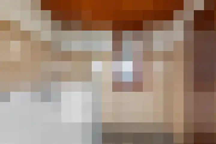 Tolhuislaan 57 Etten-Leur thumbnail 31