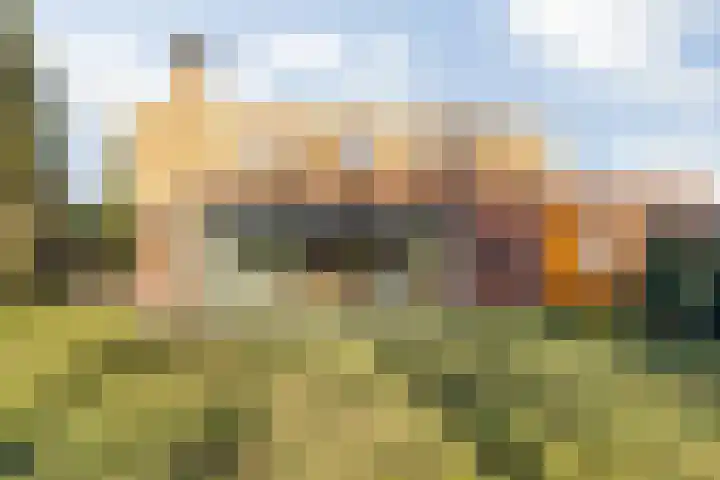 Tolhuislaan 57 Etten-Leur thumbnail 39