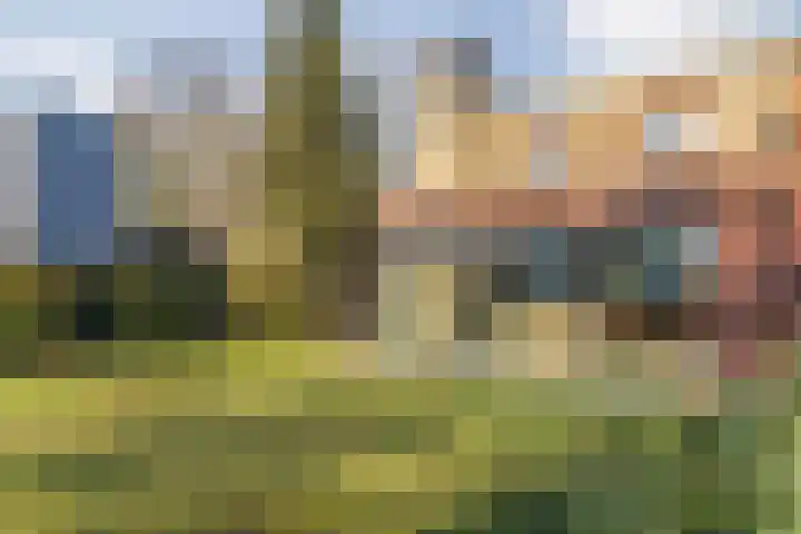Tolhuislaan 57 Etten-Leur thumbnail 4