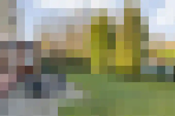 Tolhuislaan 57 Etten-Leur thumbnail 40