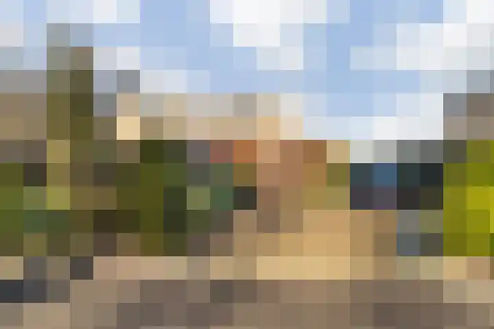 Tolhuislaan 57 Etten-Leur thumbnail 6