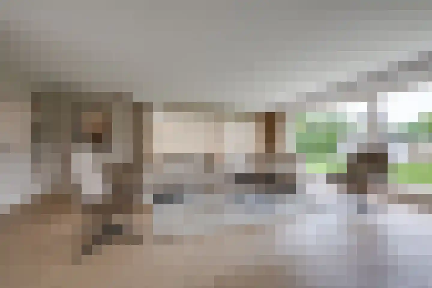 Tolhuislaan 59 Etten-Leur thumbnail 31