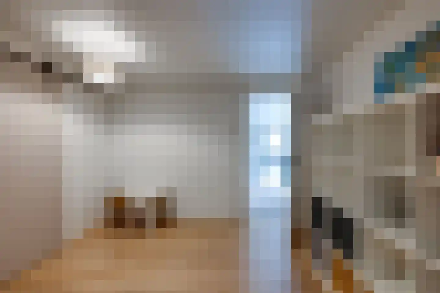 Tolhuislaan 59 Etten-Leur thumbnail 39