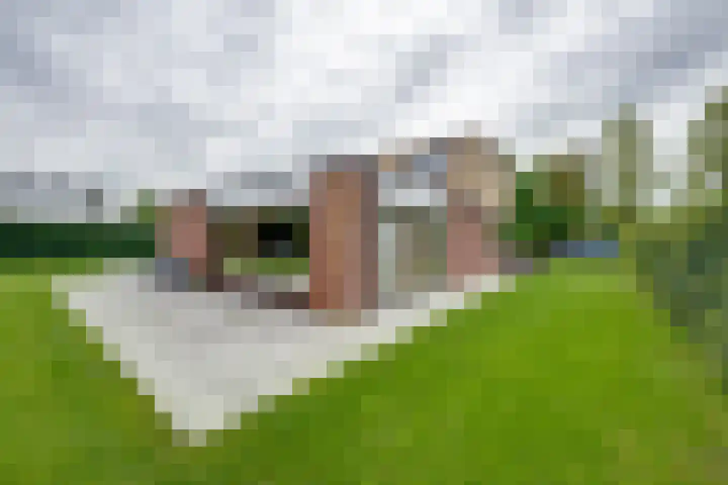 Tolhuislaan 59 Etten-Leur thumbnail 56