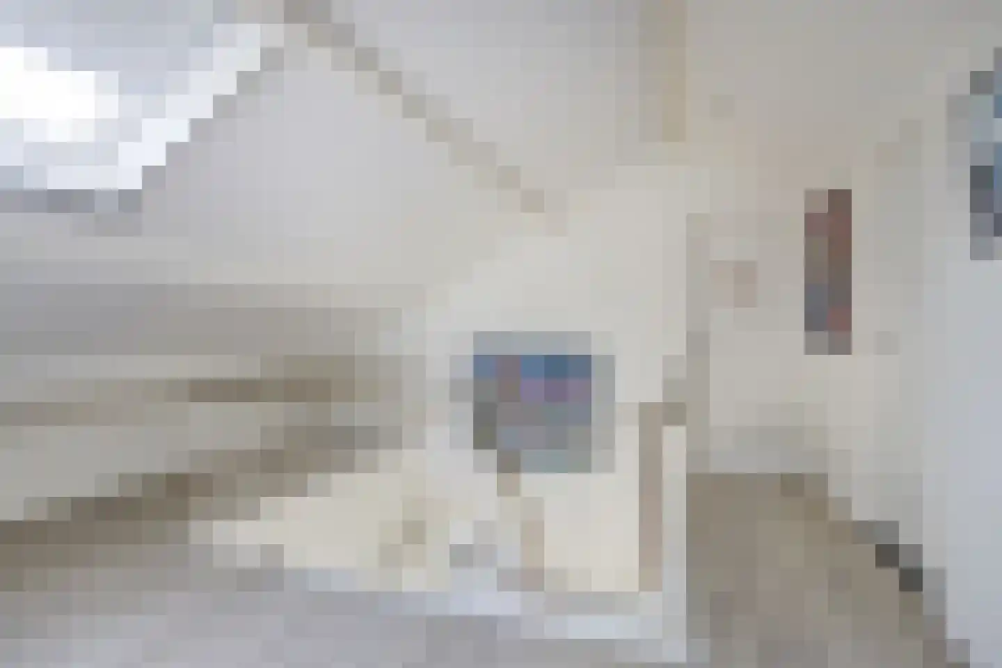 Tolhuislaan 67 Etten-Leur thumbnail 37