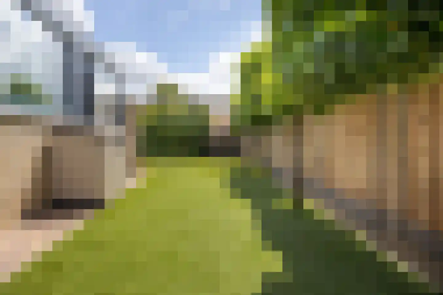 Tolhuislaan 67 Etten-Leur thumbnail 52