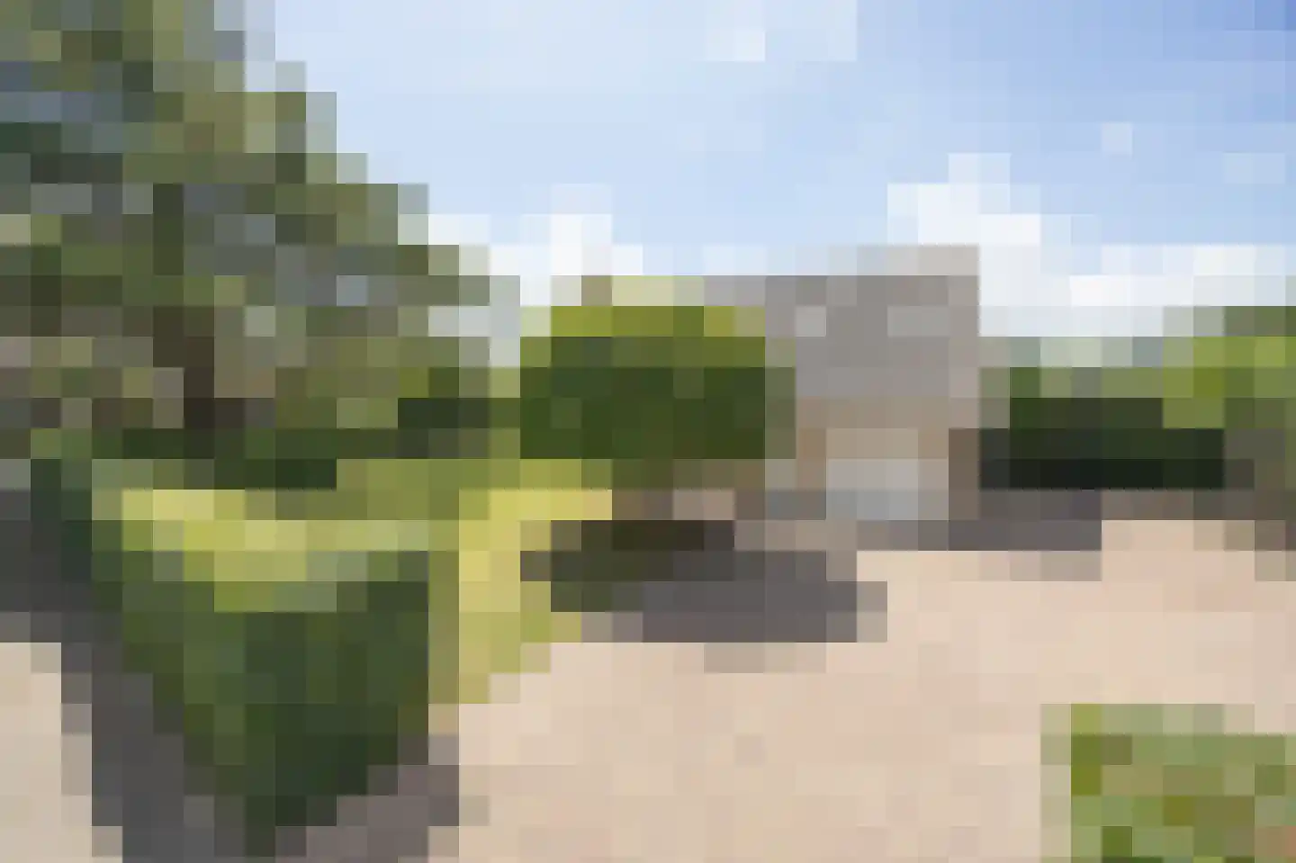 Tolhuislaan 67 Etten-Leur thumbnail 62