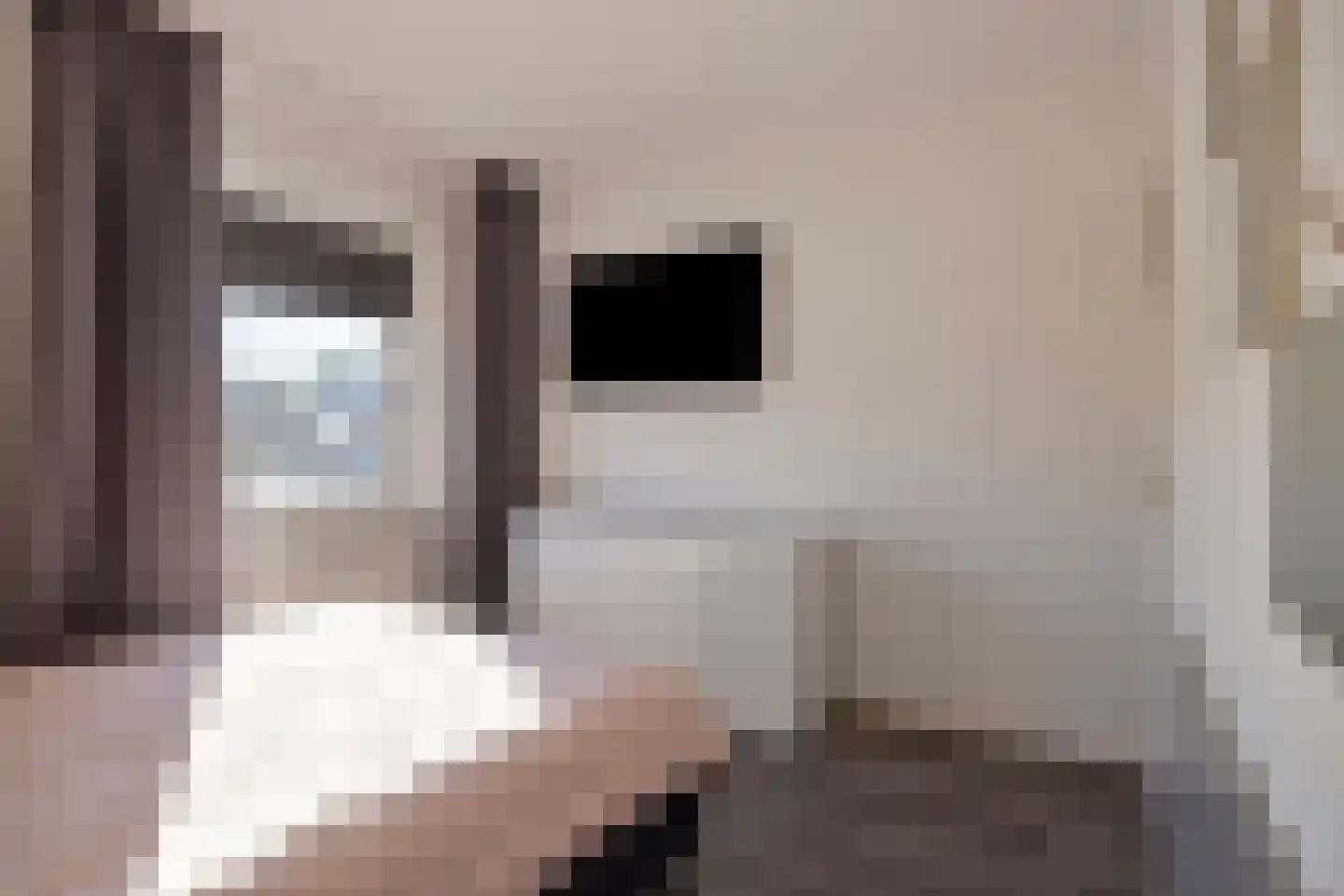 Tolhuislaan 76 Etten-Leur thumbnail 21