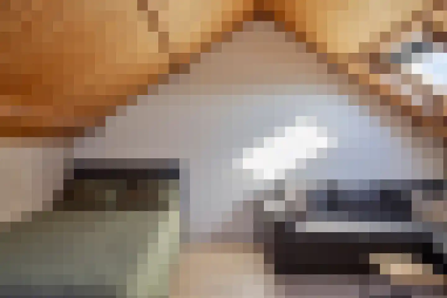 Tolhuislaan 76 Etten-Leur thumbnail 30