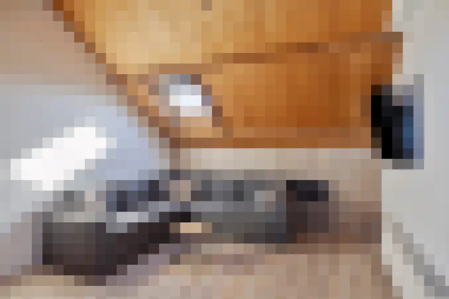 Tolhuislaan 76 Etten-Leur thumbnail 32