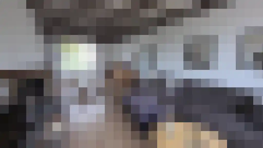 Tolhuislaan 8 Etten-Leur thumbnail 4