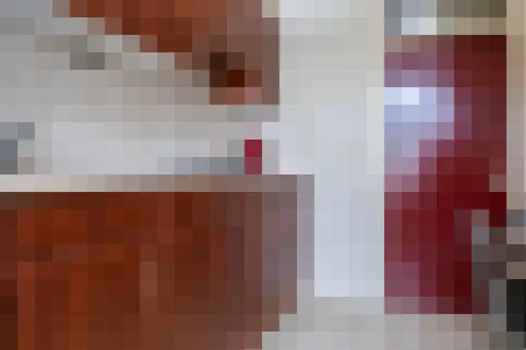 Tolhuislaan 8 Etten-Leur thumbnail 6