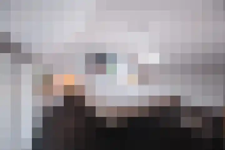 Tolhuislaan 80 Etten-Leur thumbnail 35