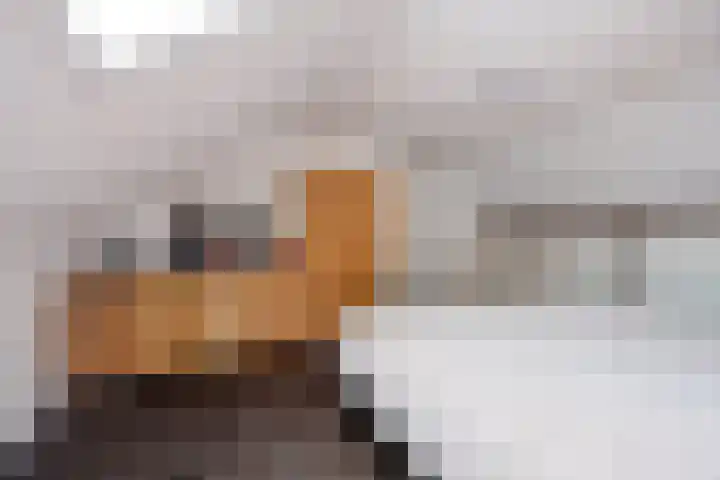 Tolhuislaan 80 Etten-Leur thumbnail 36