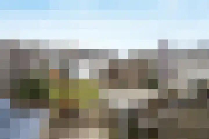 Tolhuislaan 80 Etten-Leur thumbnail 38