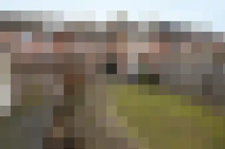 Tolhuislaan 80 Etten-Leur thumbnail 39