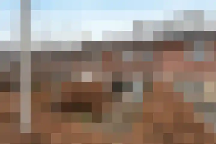 Tolhuislaan 80 Etten-Leur thumbnail 42