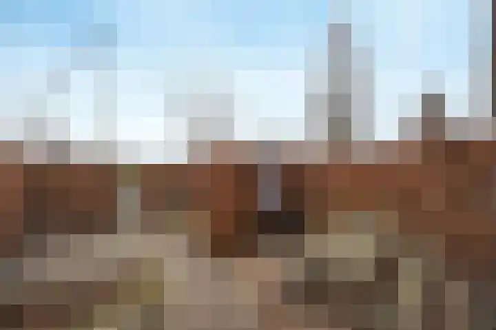 Tolhuislaan 80 Etten-Leur thumbnail 43