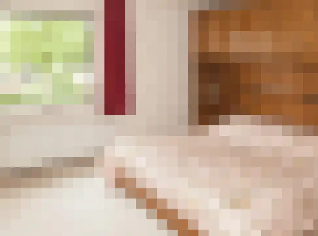 Tolhuislaan 88 Etten-Leur thumbnail 17